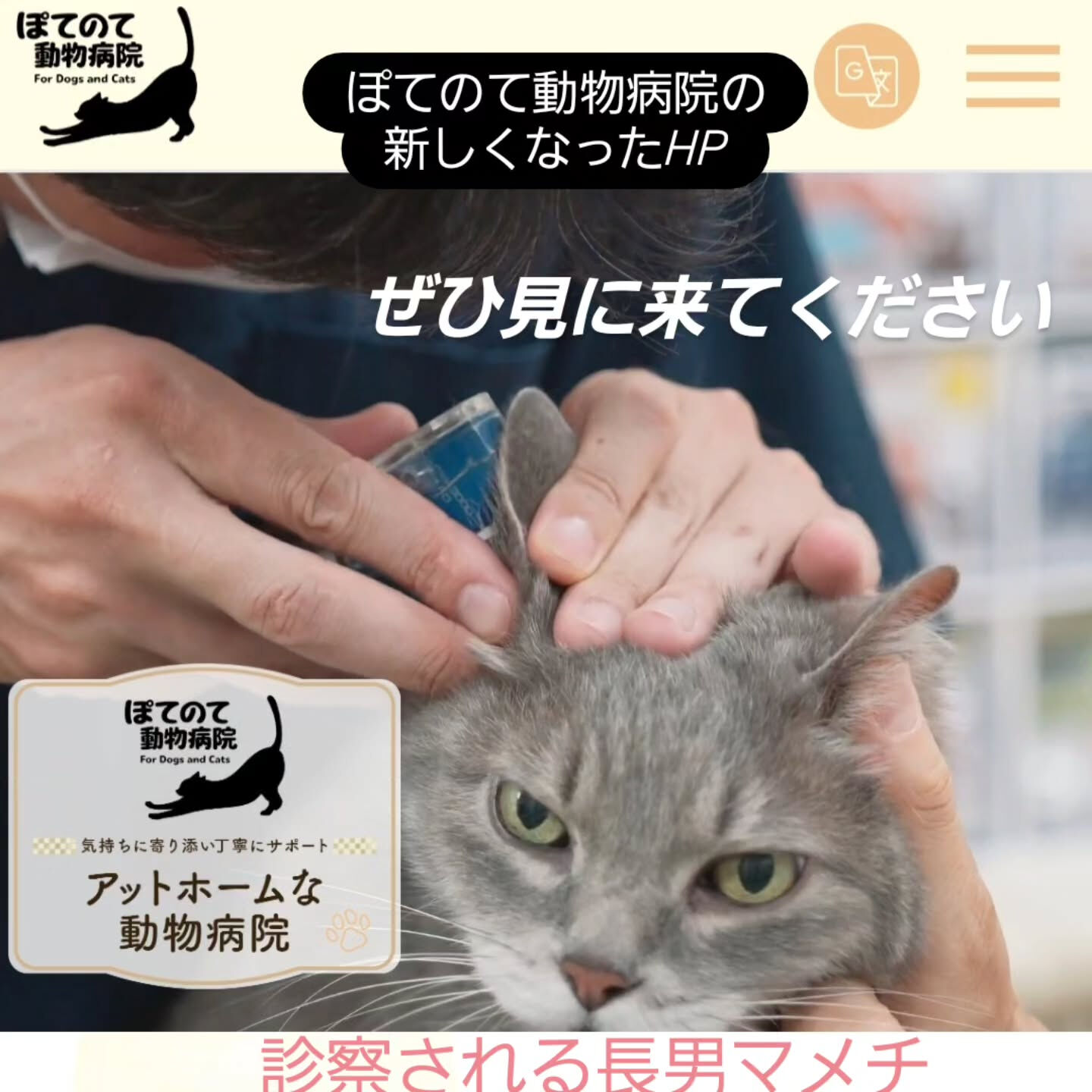 #動物病院 #大阪 #犬 #猫 