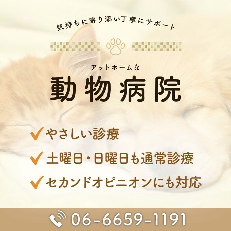 気持ちに寄り添い丁寧にサポート